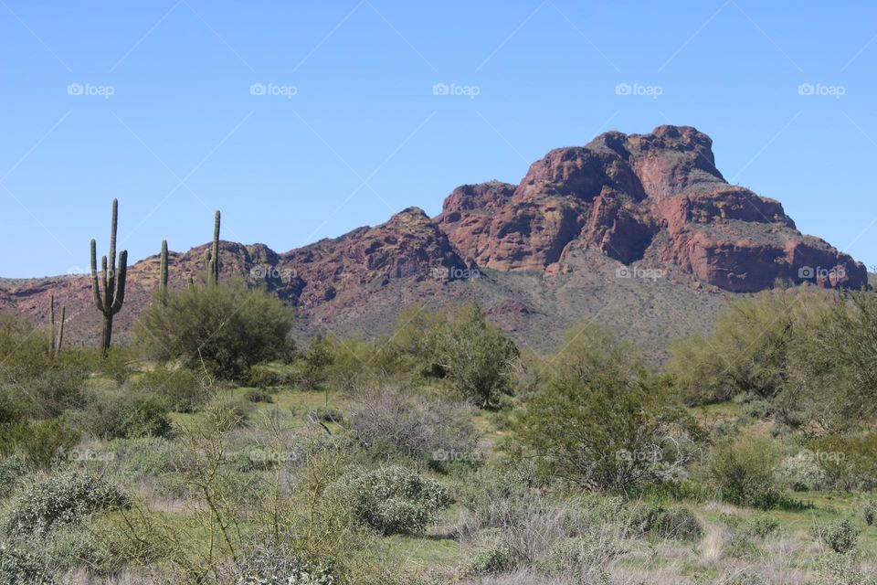 Red Mountain in Arizona Desert