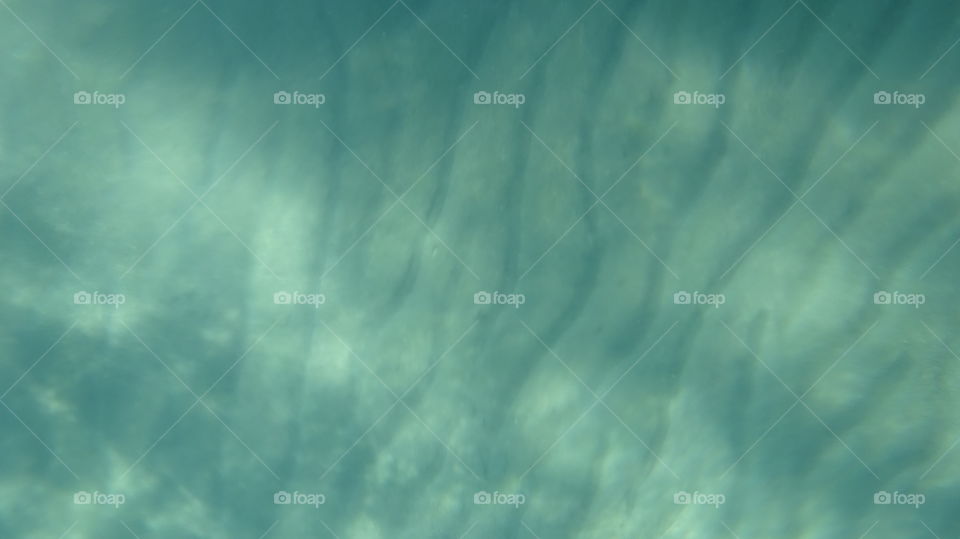 Underwater. Underwater