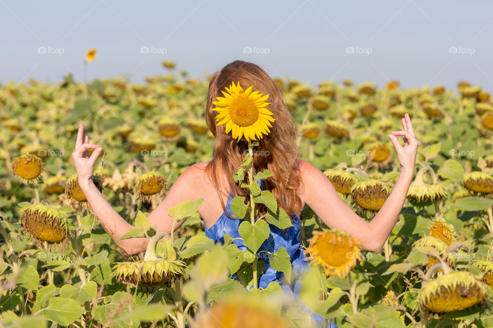 Young woman meditating in the sunflower field. Living in harmony.