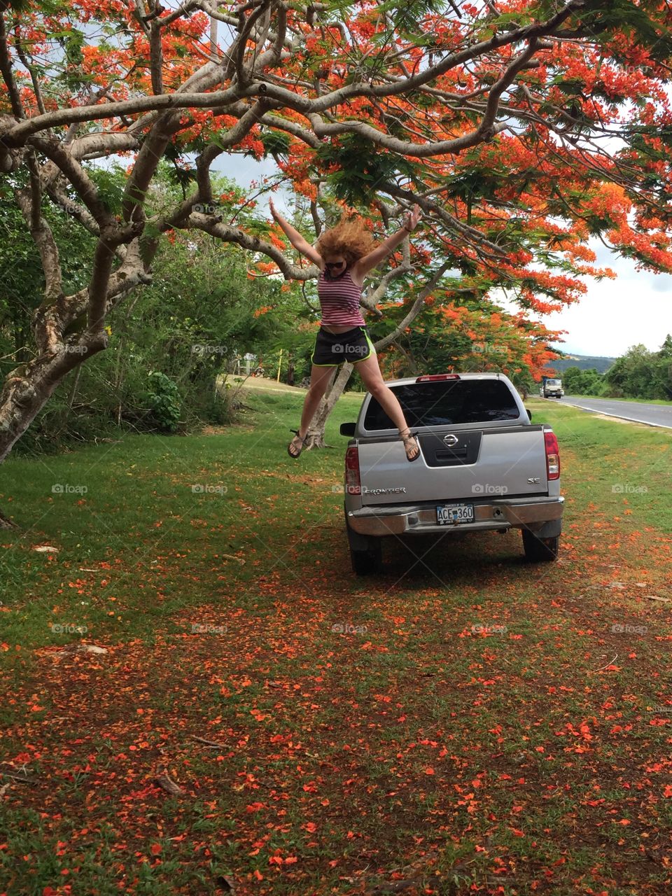 Girl jumping off the back of a truck bear Flame Trees on Saipan. Taken on the road leading up to Suicide Cliff