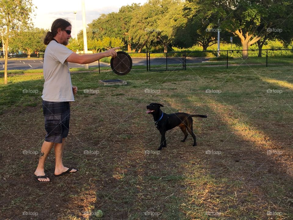 Dog park frisbee 