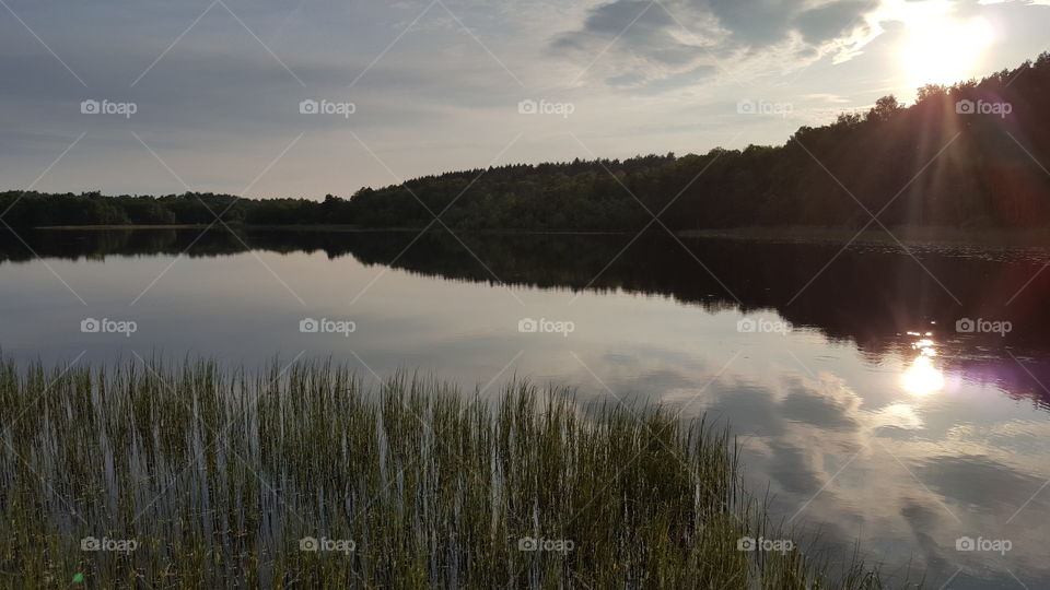 Sunlight reflecting on lake