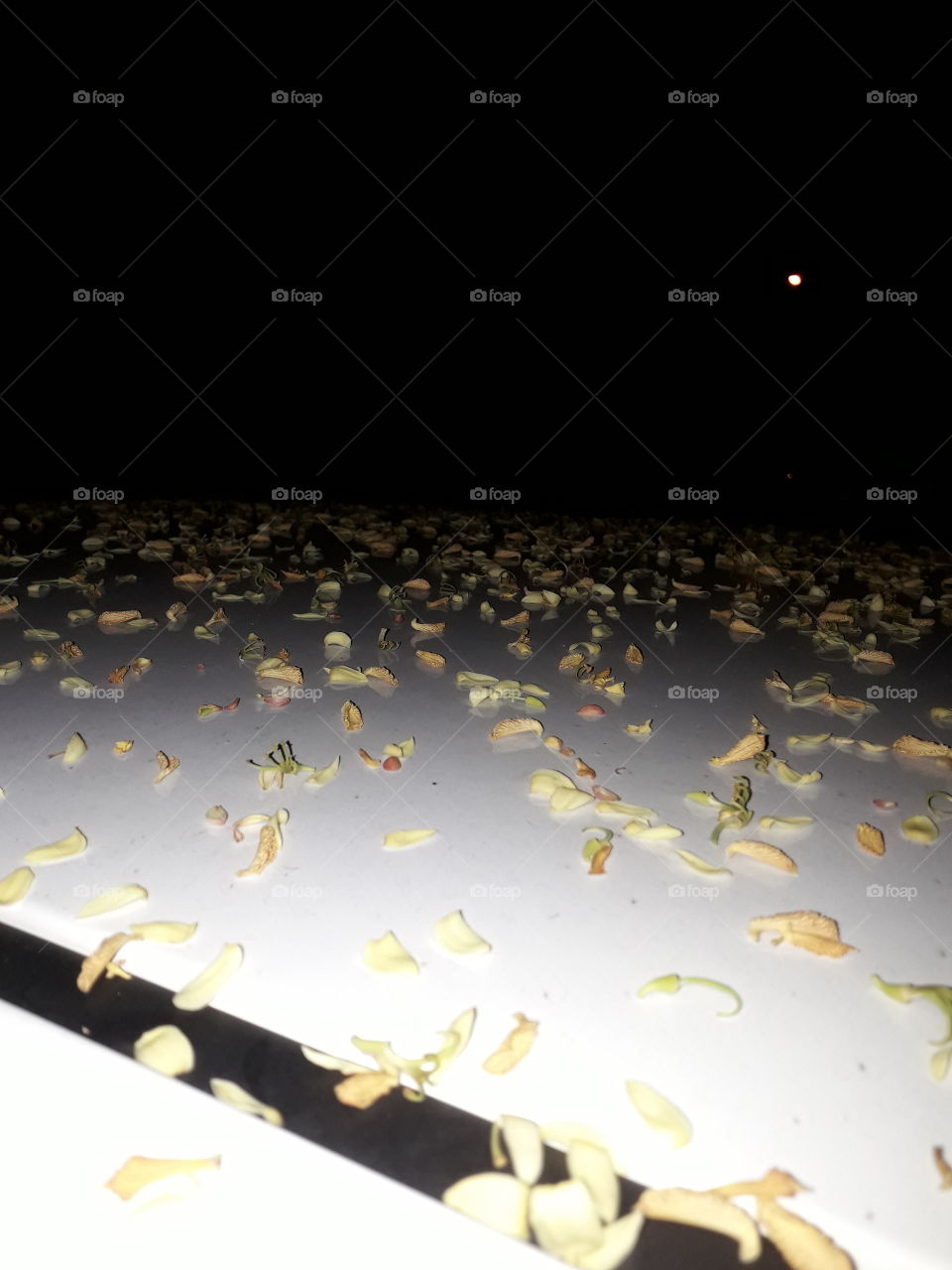 impossível de saber o que é 😆