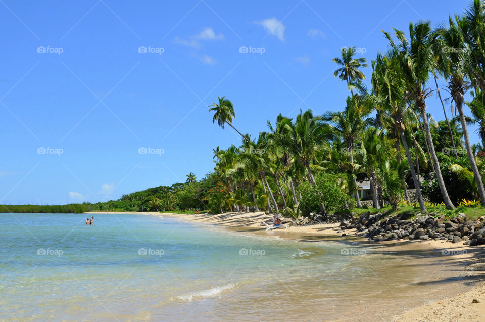 beach ocean sunny palm by hkjohan