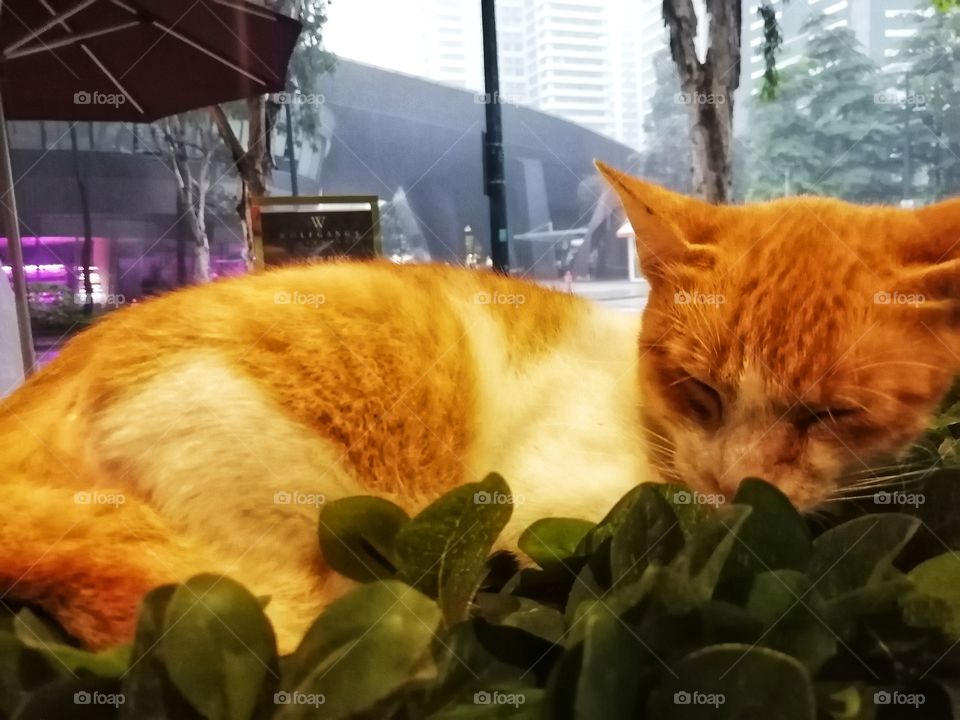 Don't wake me up. 😊