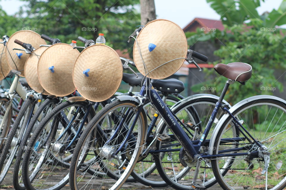 Wheel, Bike, No Person, Outdoors, Wood