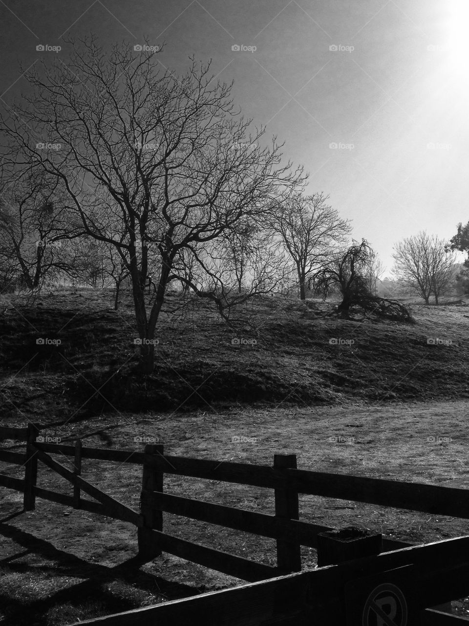 Walking near a local regional park, this is the view. 