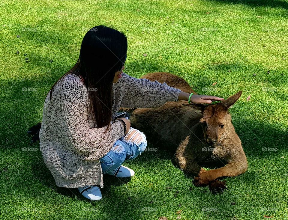 Petting a kangaroo!