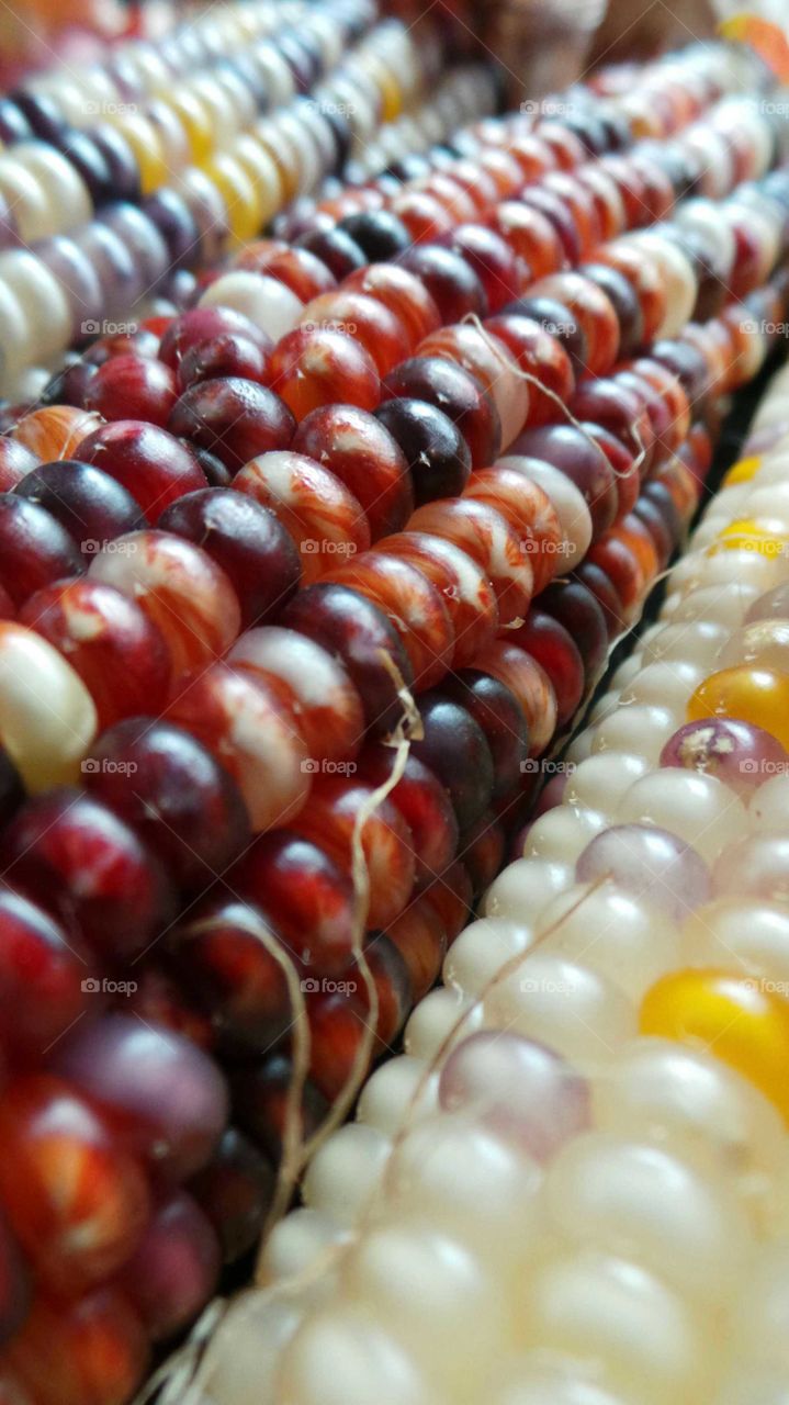 Kernels of color up close