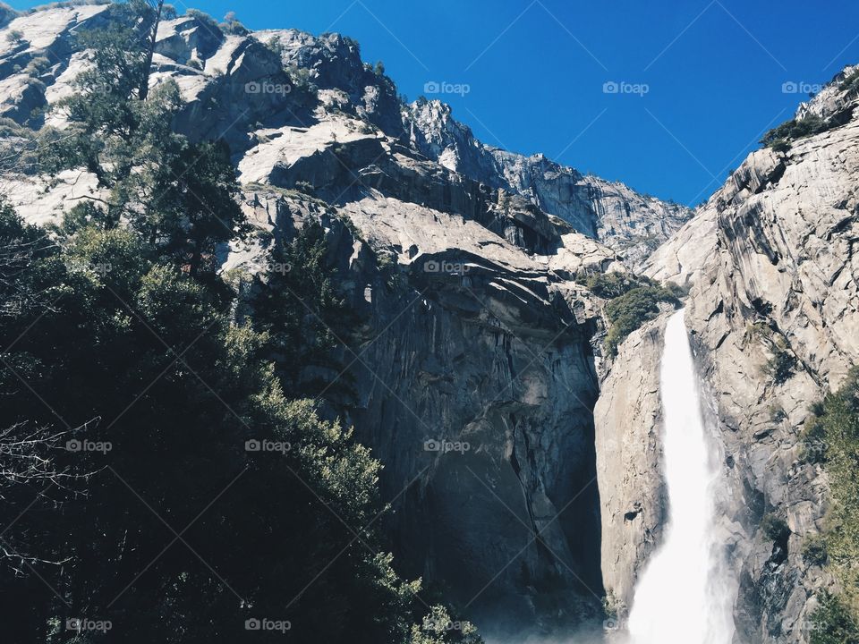 Lower Yosemite falls