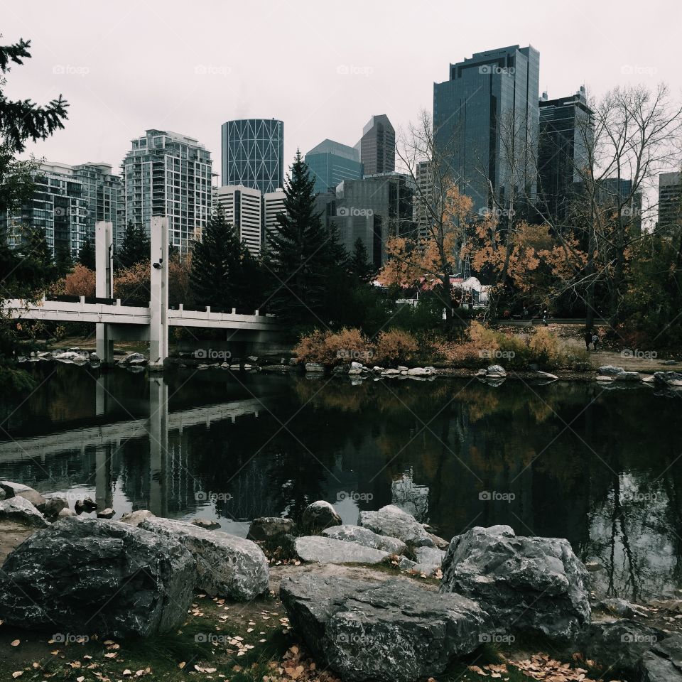 View of downtown calgary from Prince's Island Park. It's separated by the Bow River.