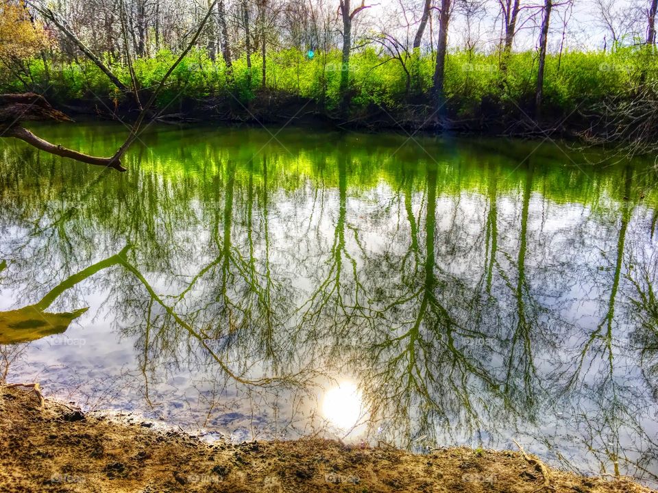 Reflection in the water