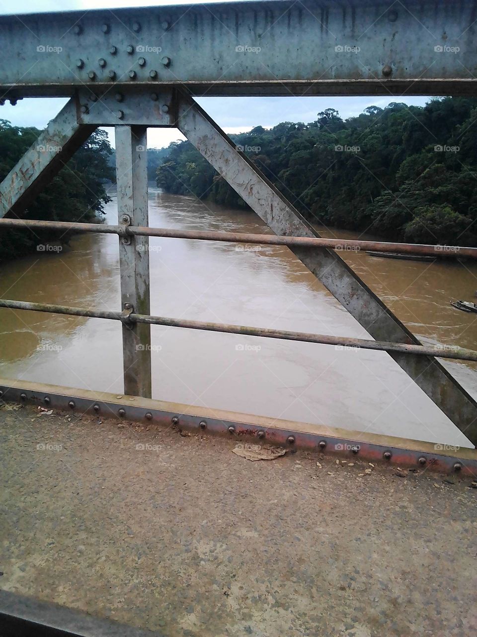 Nigeria and Cameroon bridge