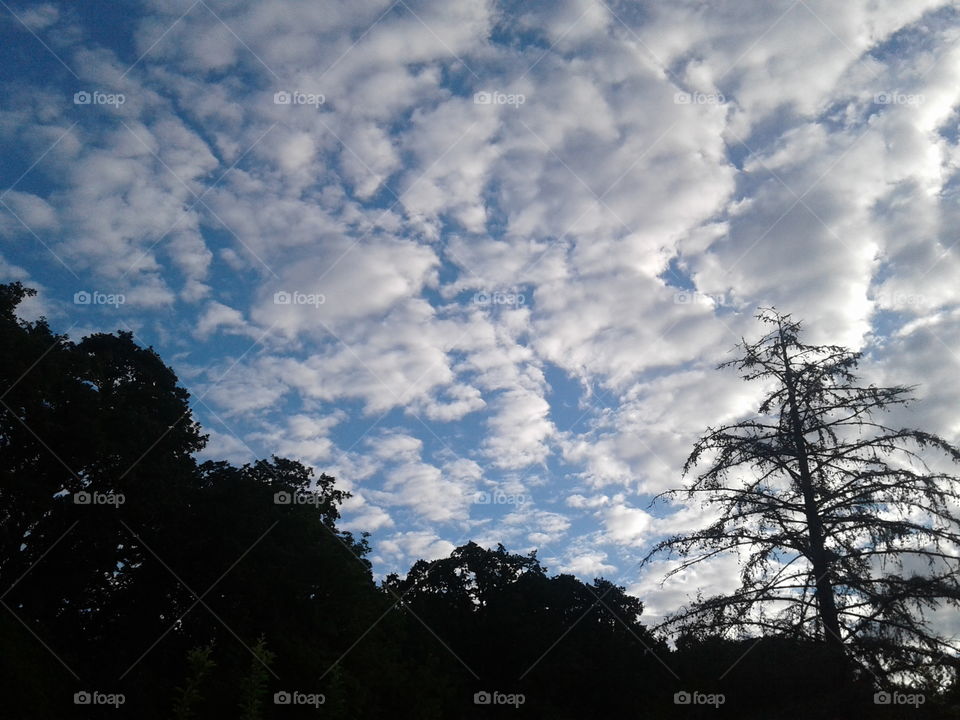 June morning clouds