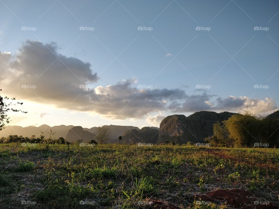 nature, vinales, Cuba, Sunset, palms