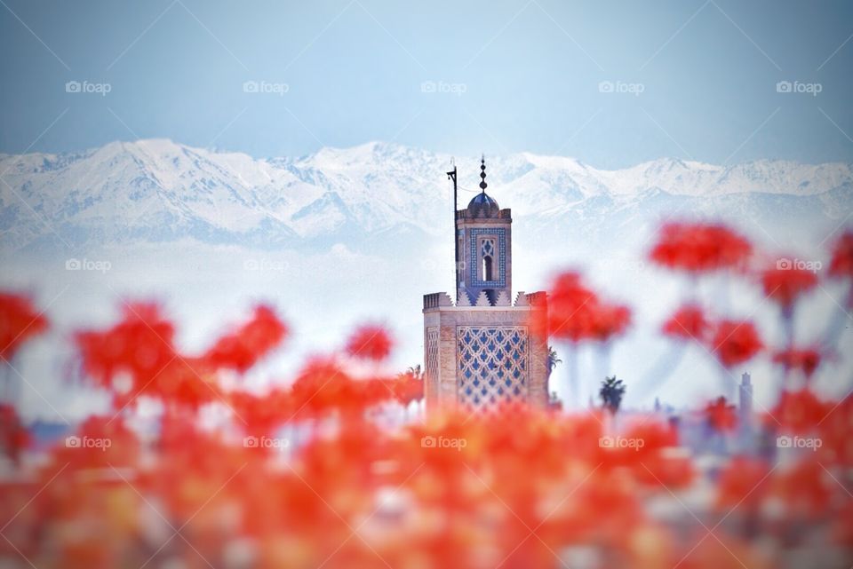 Mosque, mountains, magic