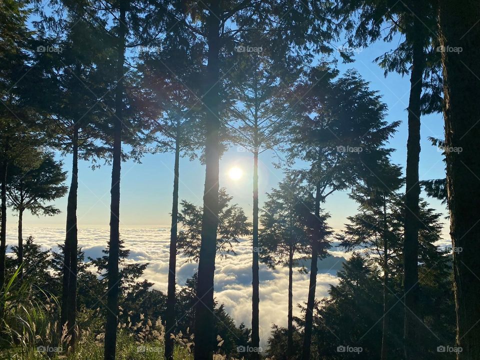 Beautiful mountain scenery with sea of clouds