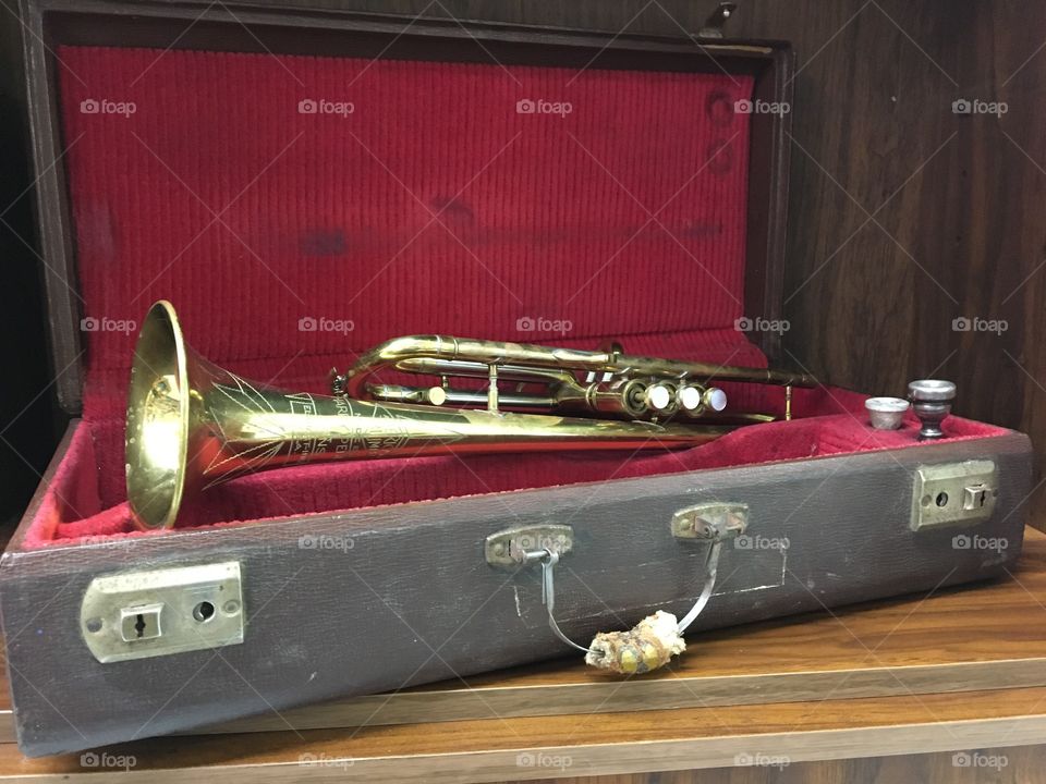 Trumpet in case 