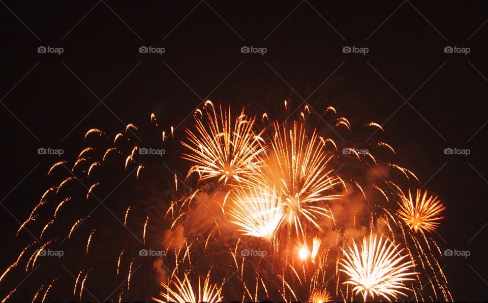 Fireworks display in sky at night