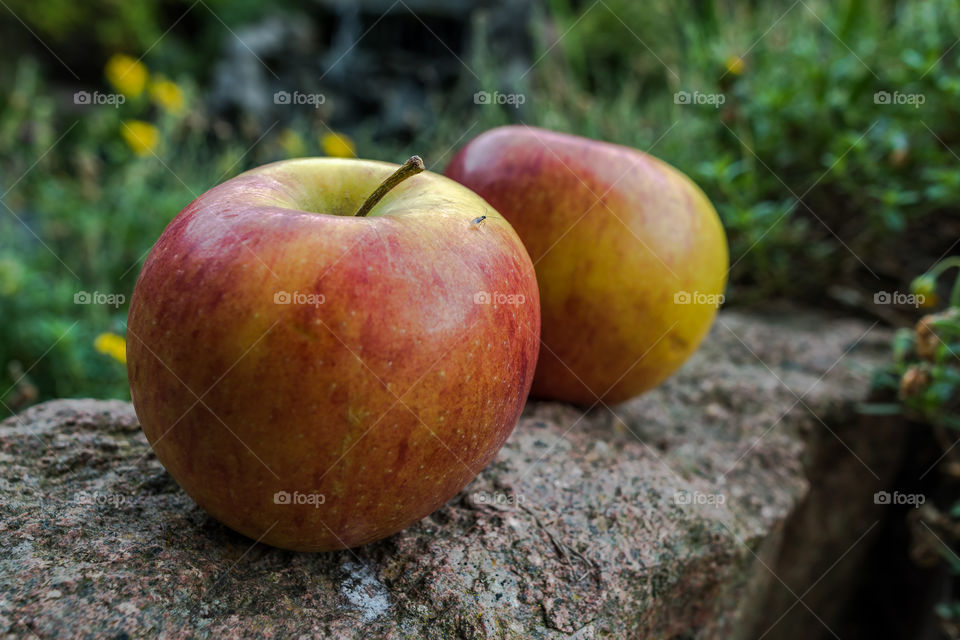 Apples Outside On A Stone Wall In front Of A Pond.