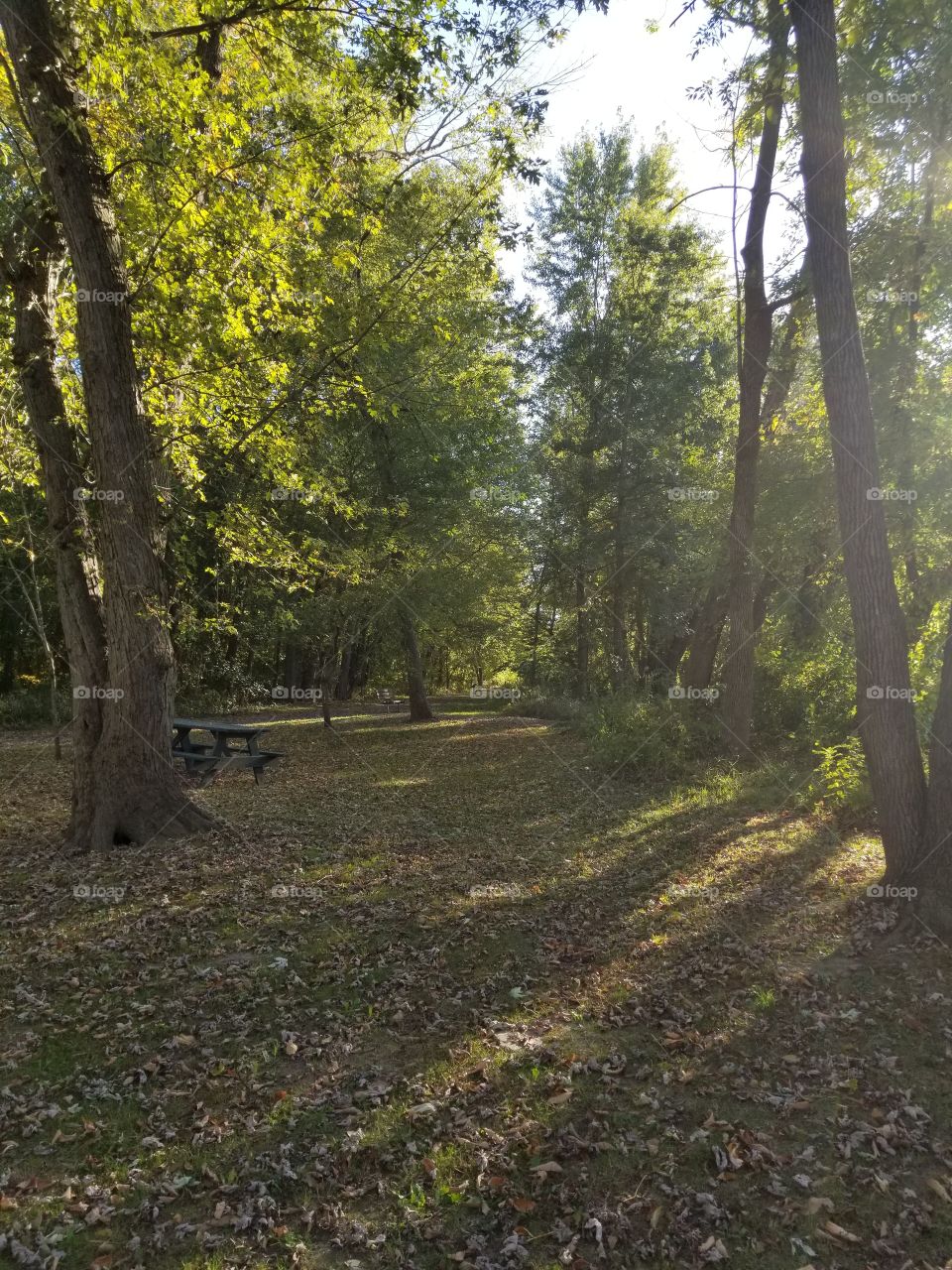 A path home