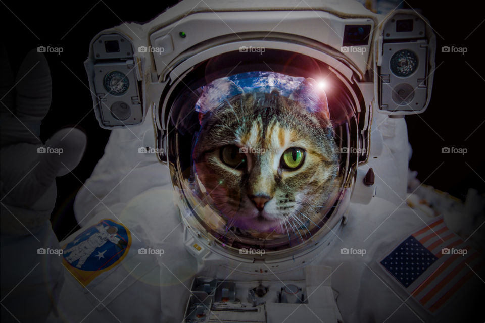 Astronaut Kitty