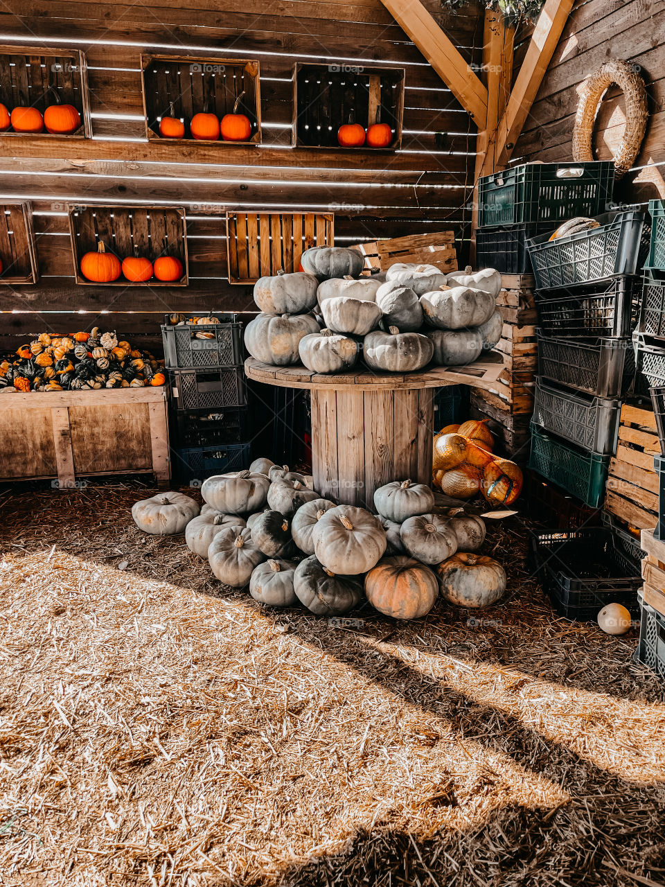 Pumpkins