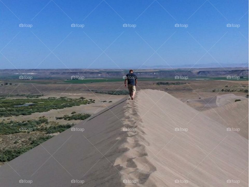 Sand dunes 