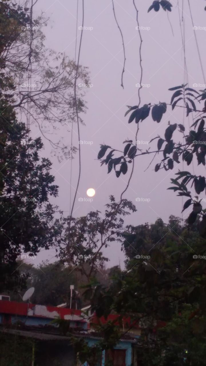 पूर्णिमा के सुबह की चांद