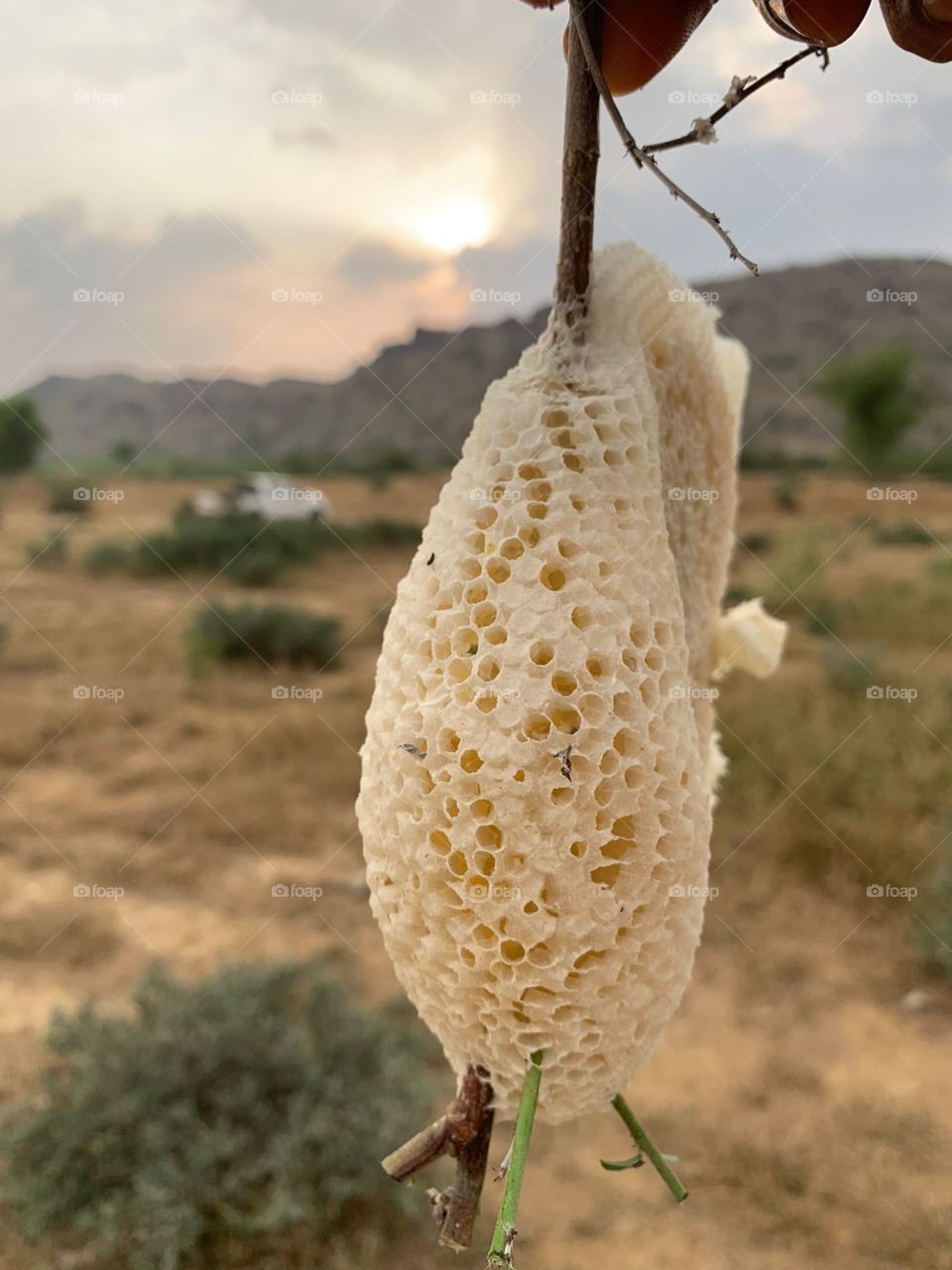 am poor. I want your support. Stop it