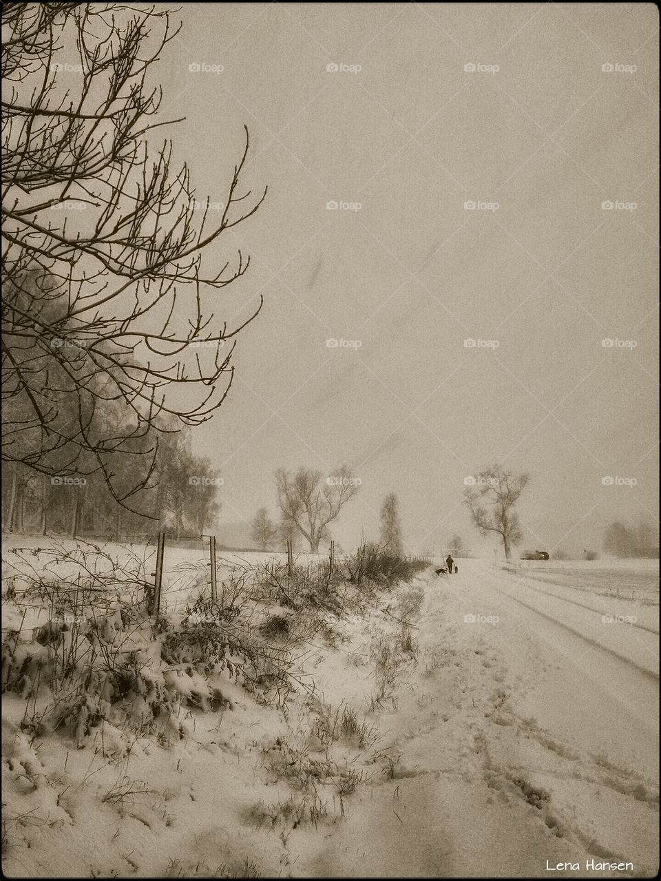 tree winter snöstorm oväder by LenaHansen