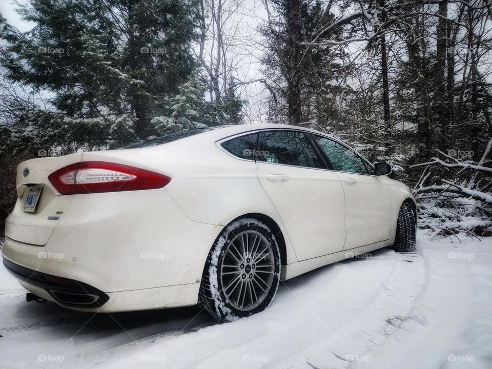White Ford Fusion parked in a snowy forest.
