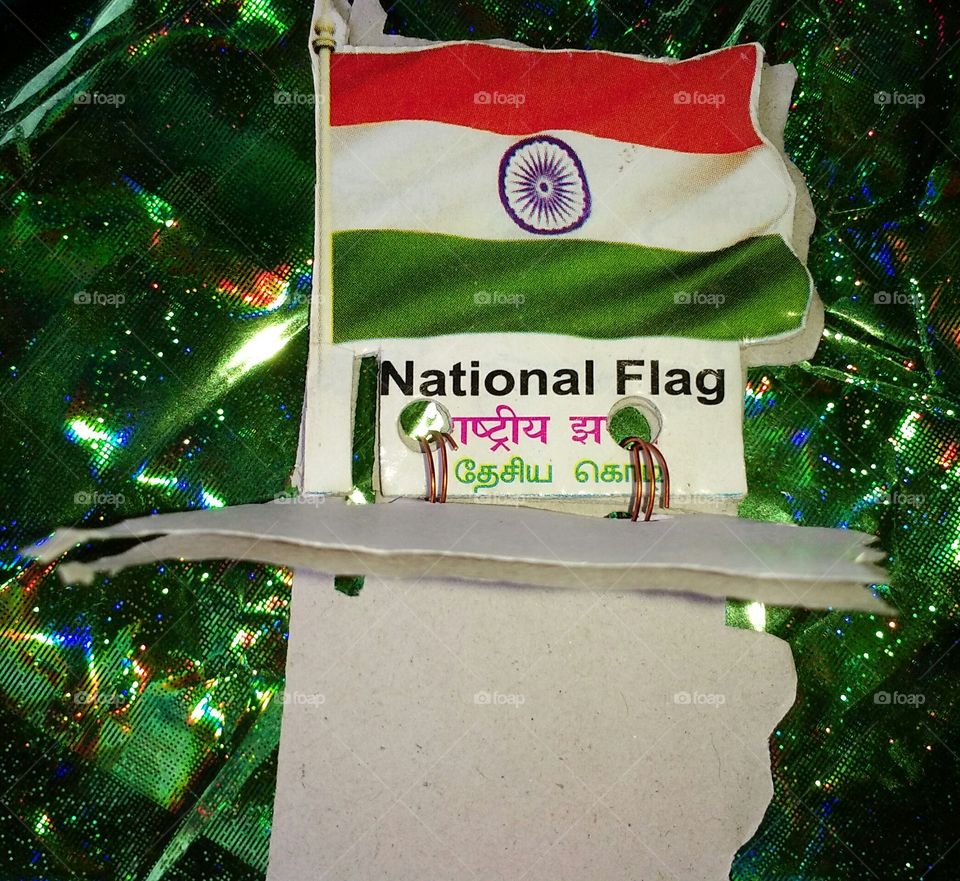 the face book of INDIAN National FLAG.
it's the first book entire the worldwide on it and no one like this in the world till now.
if you want earn money with it you should download it's first photograph at the first sight and keep it.