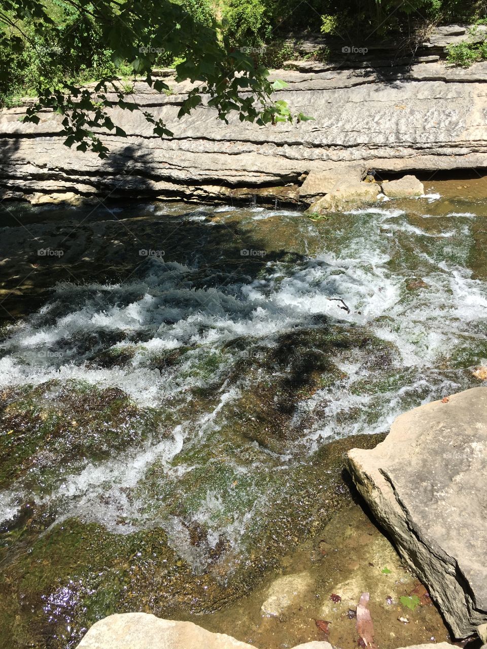 River nature shot