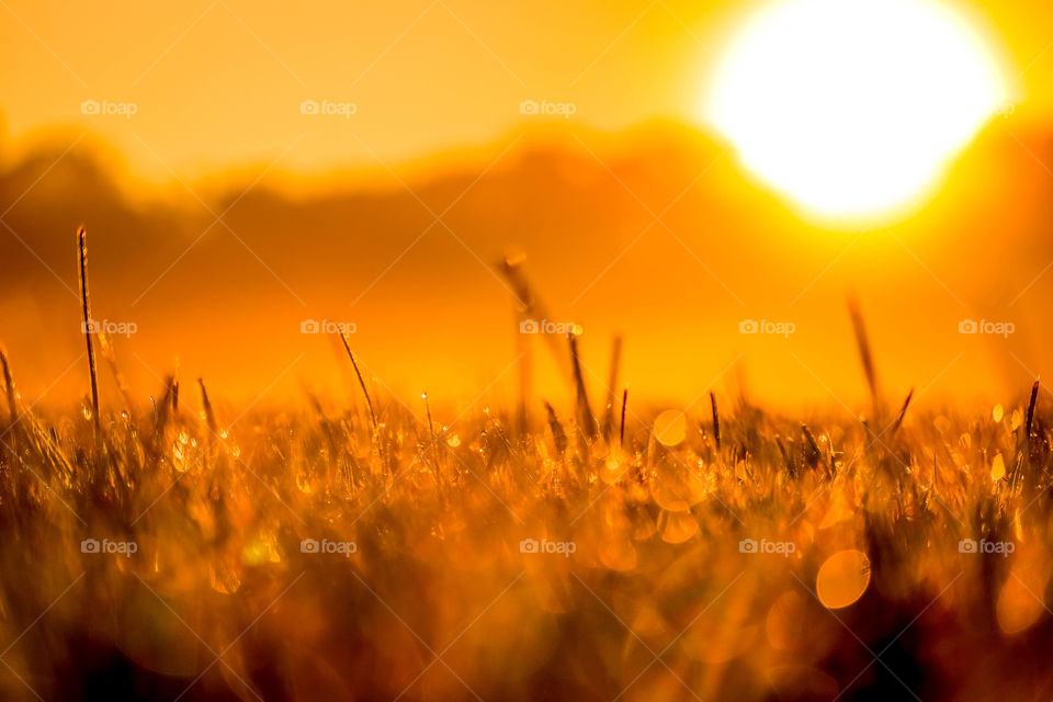 Magical sunrise on a soccer field