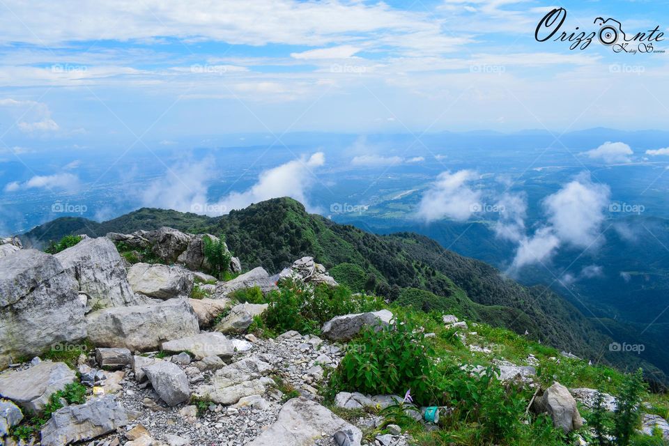 Vibrant colors of nature are real Stimuli♠️