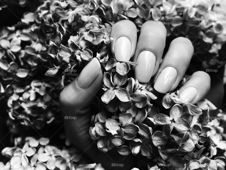 Flowers in hand black and white 