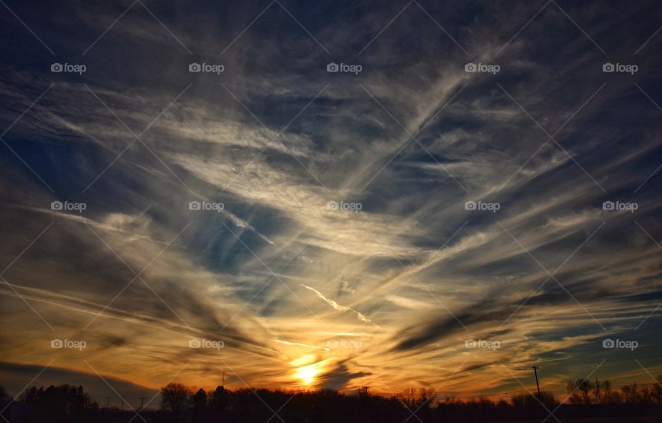 Silhouette of trees at sunset