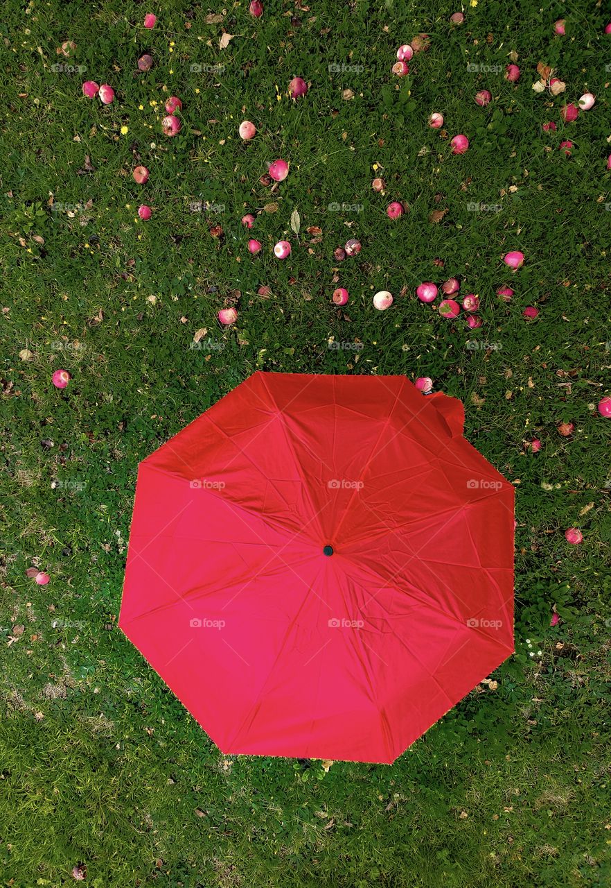 I was so happy when I received this umbrella! Perfect color on our yard with our apple tree!