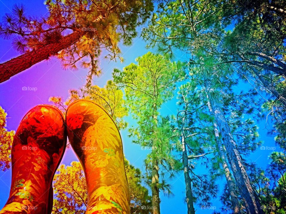 Rainbow boots