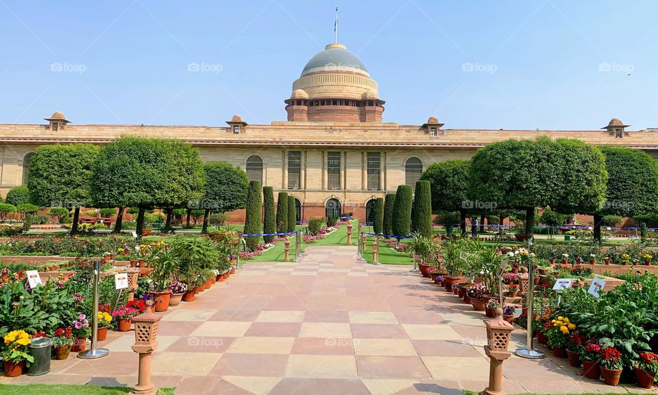 Indian President’s house- The Rashtrapati Bhavan, unique architecture #iconic #amritudhyanmahotsav #springvibes #masterpiece #memorable #amazing #magestic  #architecture #magnificient #grandeur #flowers #trees #greenery #birds 