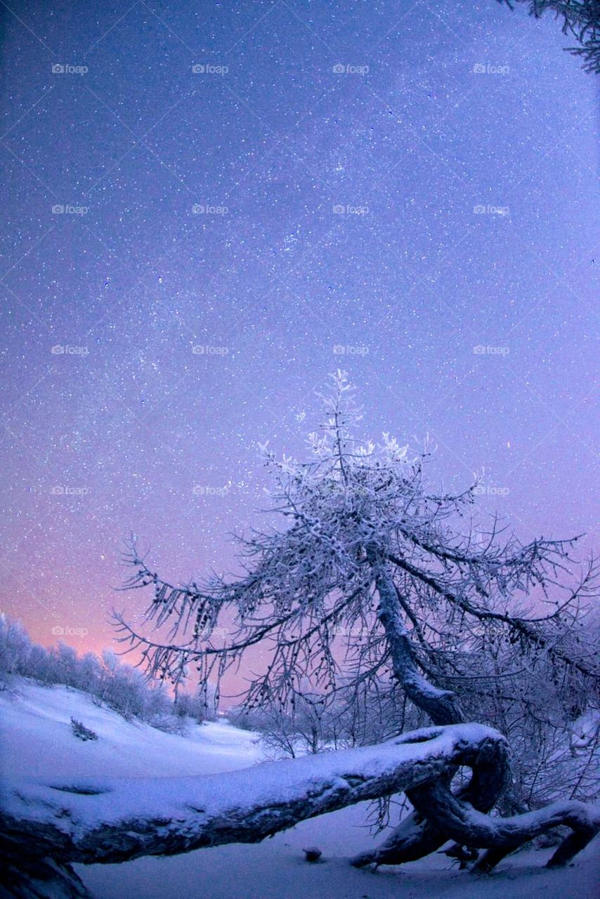 Early morning red-yellow sunrise, silence, freshness, frost, winter, north. Aurora borealis night.