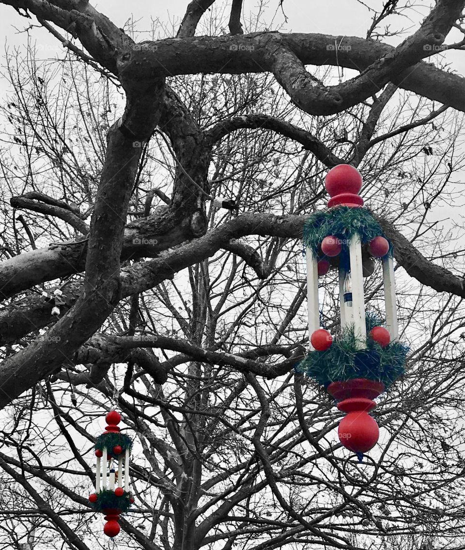 Christmas decorations hang from a tree in Simcoe, Ontario, Canada 