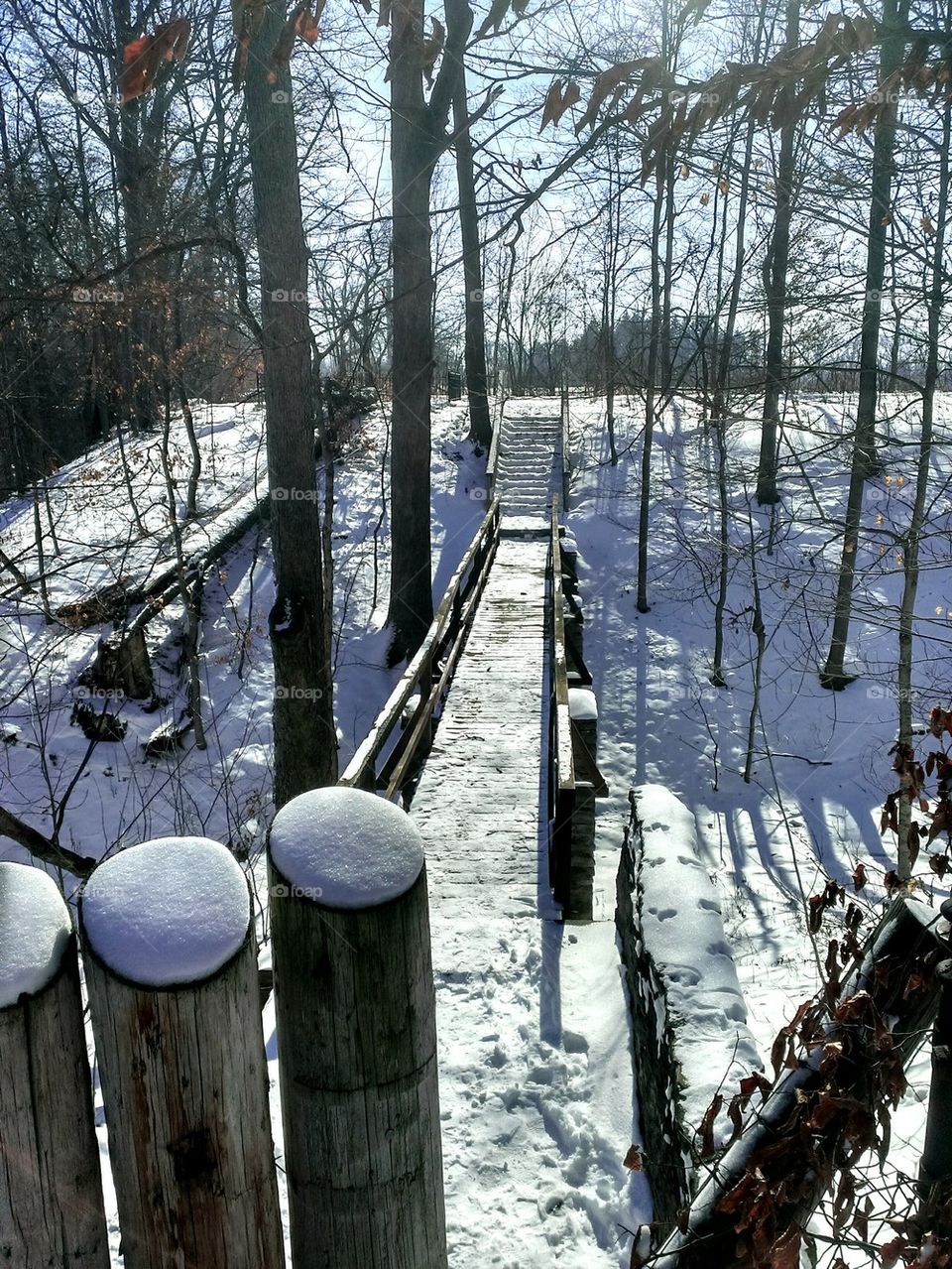 Snowy Footbridge