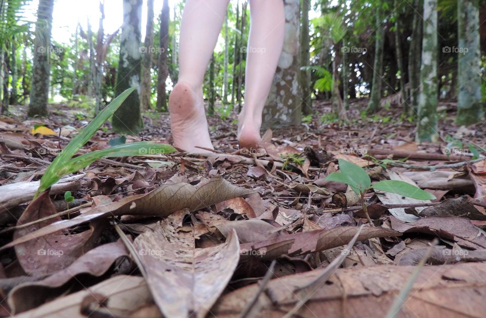 The feet feel the dry leaves and the magic of the place.