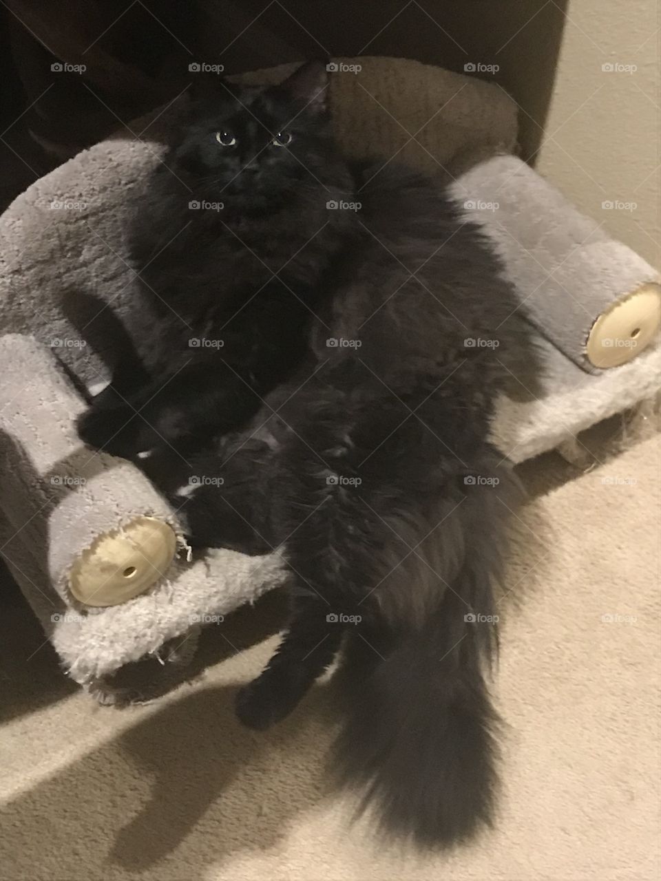 Chill out on the couch 