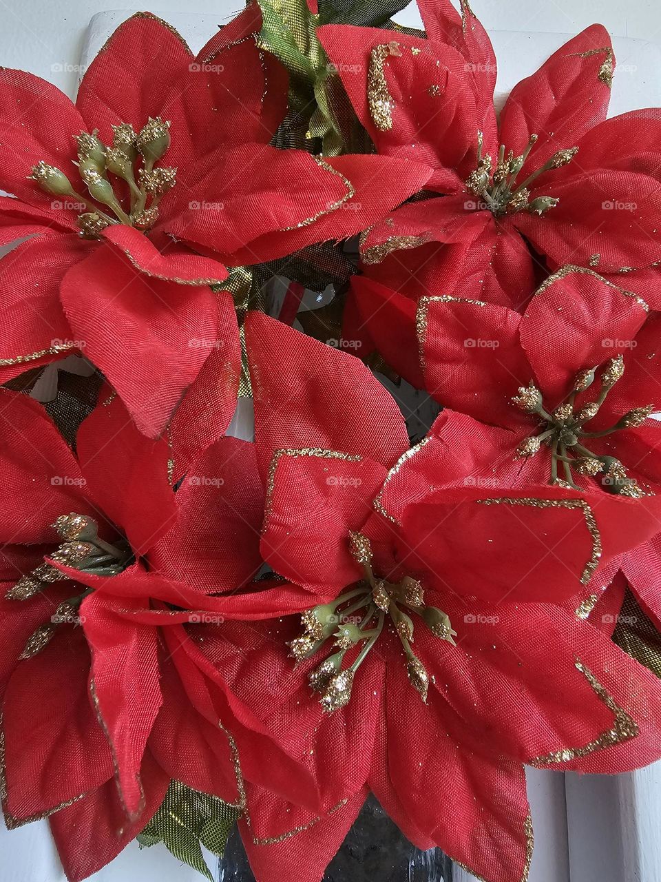 Bright red of the poinsettia, or Christmas flower, with gold trim, in a close-up of a Christmas wreath.