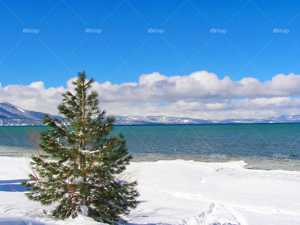Blue Lake. Snow at Lake Tahoe