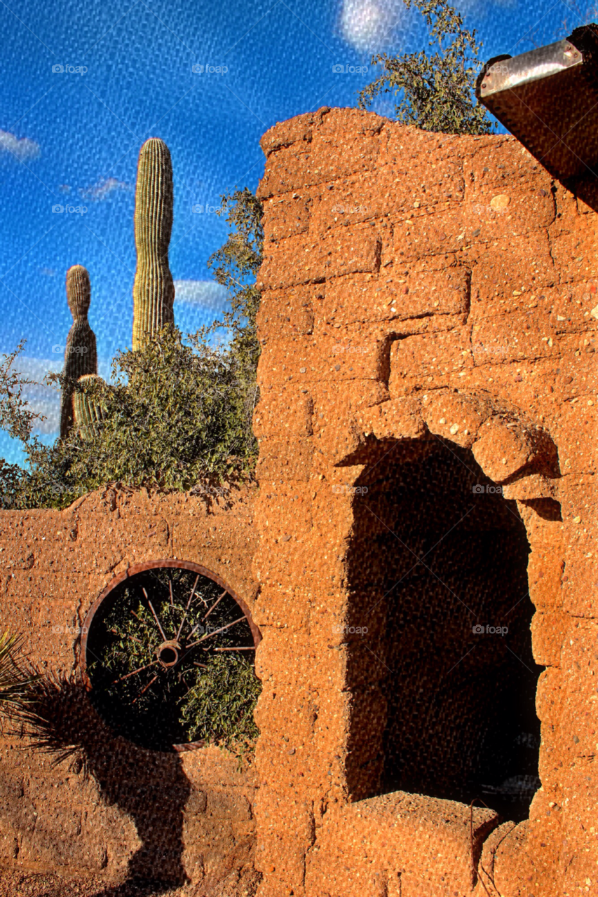 wall trees window cactus by stevehardley7