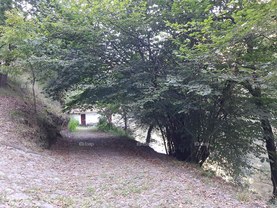 In the midst of nature